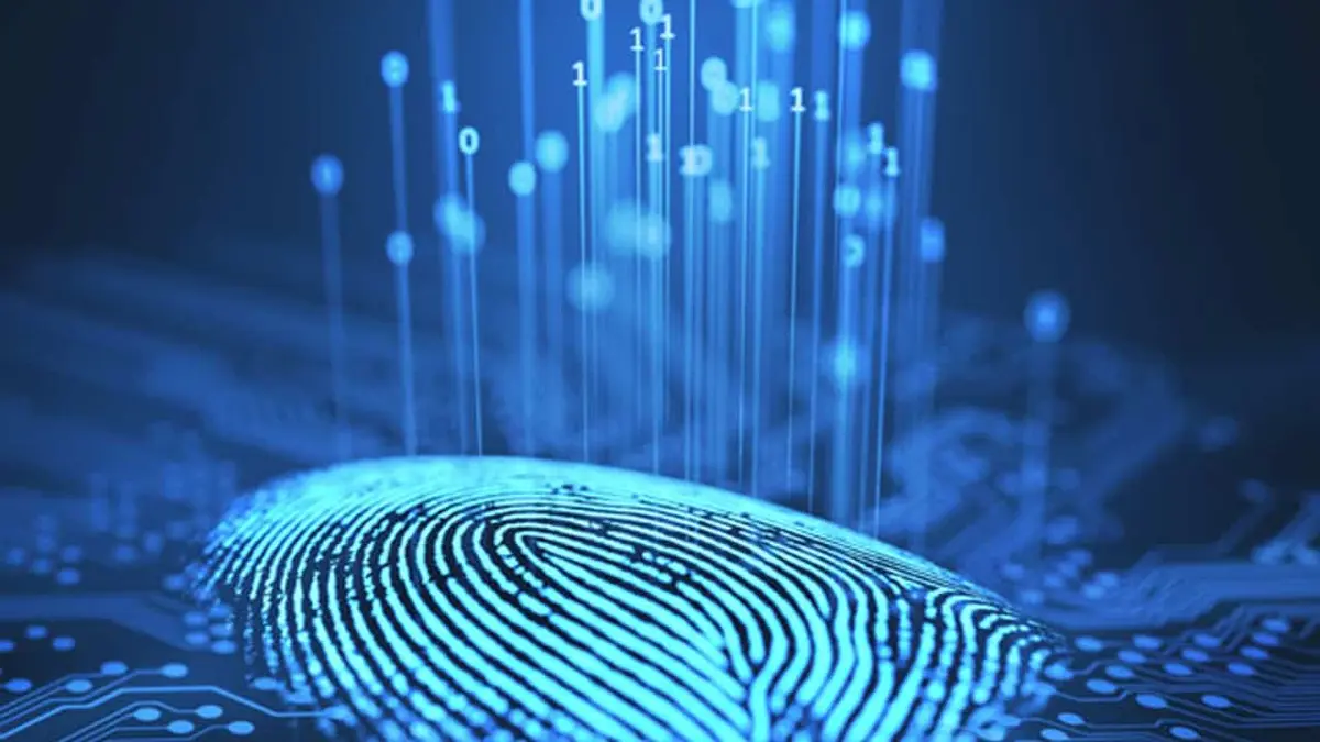 Understanding the Role of Fingerprinting in Modern Identity Verification